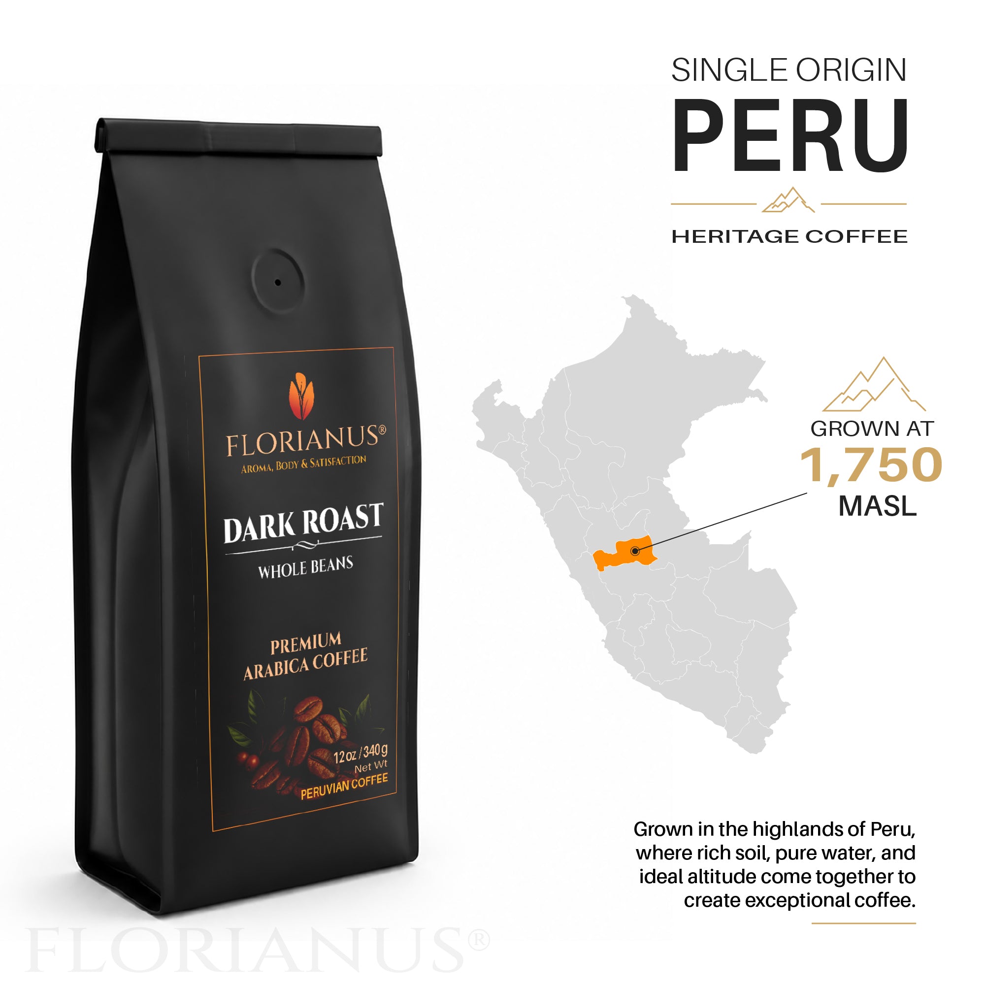 FLORIANUS Coffee — Dark Roast Whole Bean 12oz / 340g — 3-Pack · Free Shipping