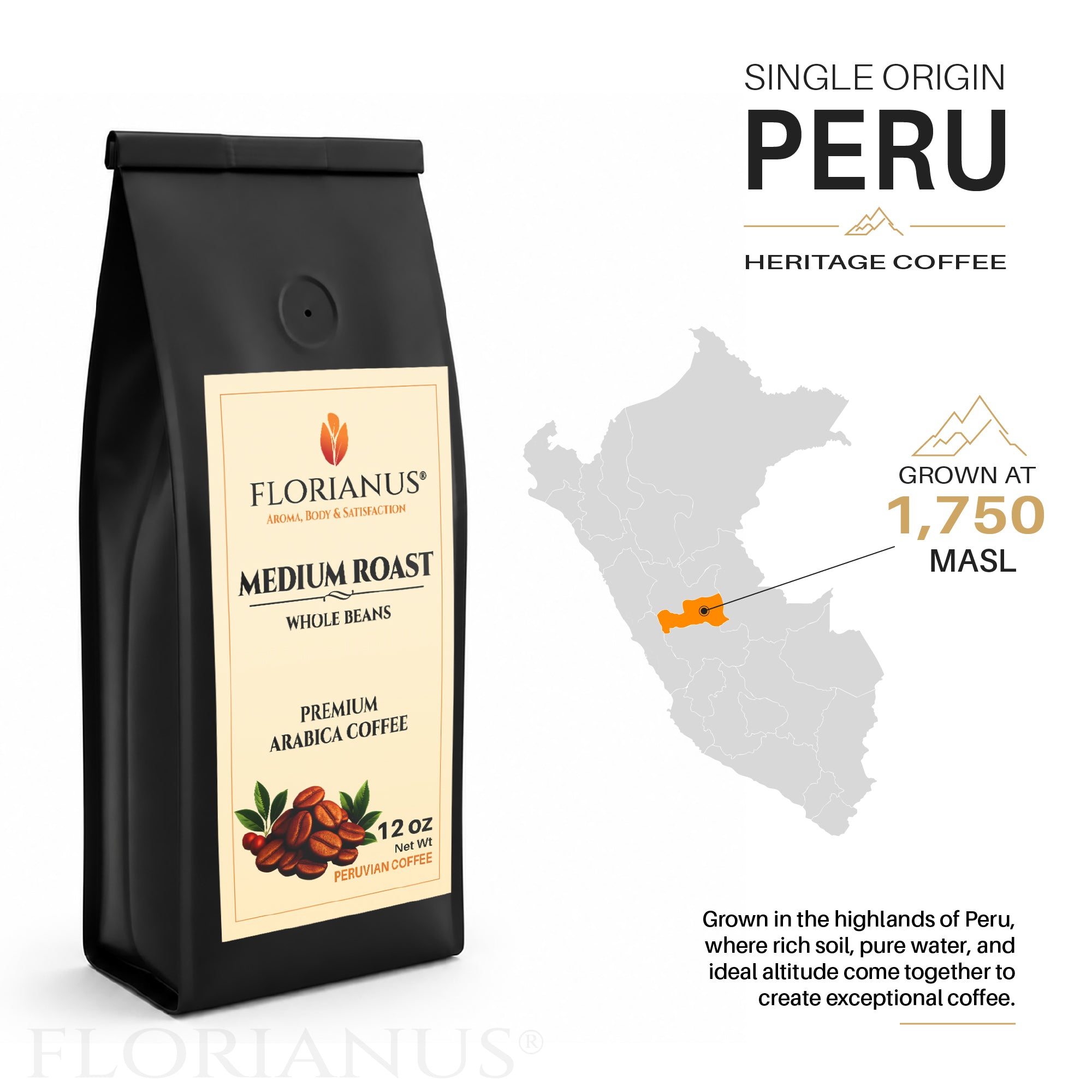 FLORIANUS Coffee — Medium Roast Whole Bean 12oz / 340g — 3-Pack · Free Shipping
