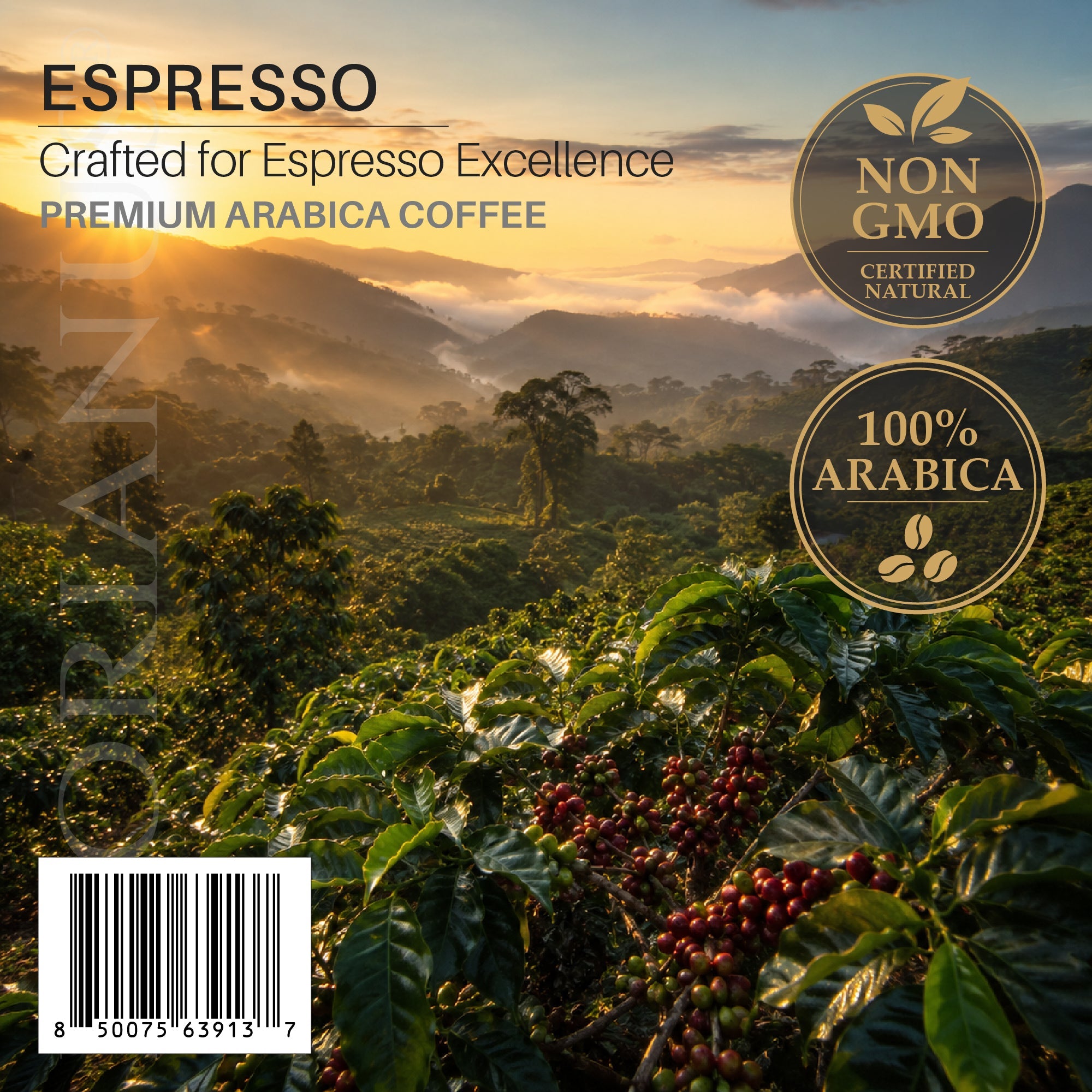 FLORIANUS Coffee — Dark Roast Espresso Grind 12oz / 340g — 12-Pack · Free Shipping