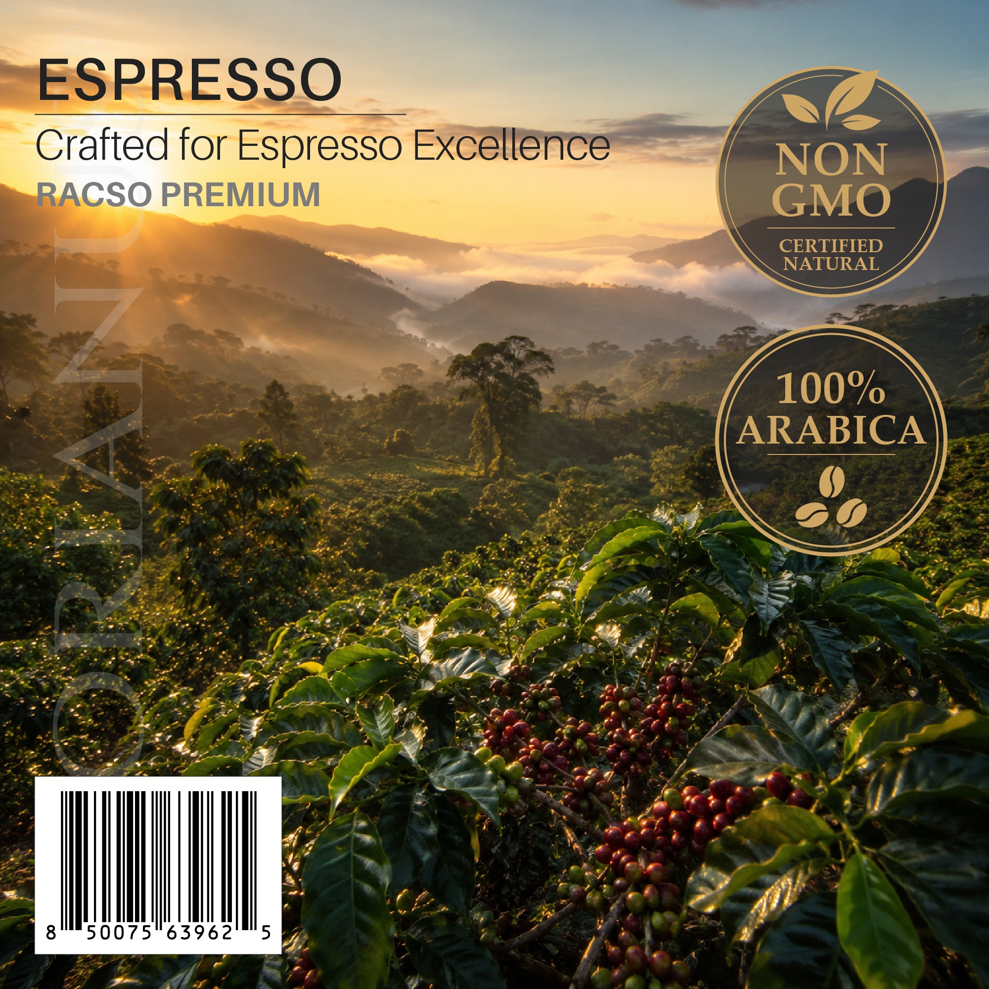 FLORIANUS RACSO — Medium Intense Roast Espresso Ground —  12oz / 340g